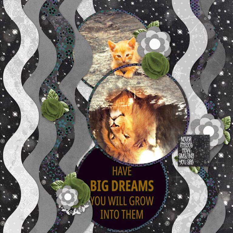 Have Big Dreams