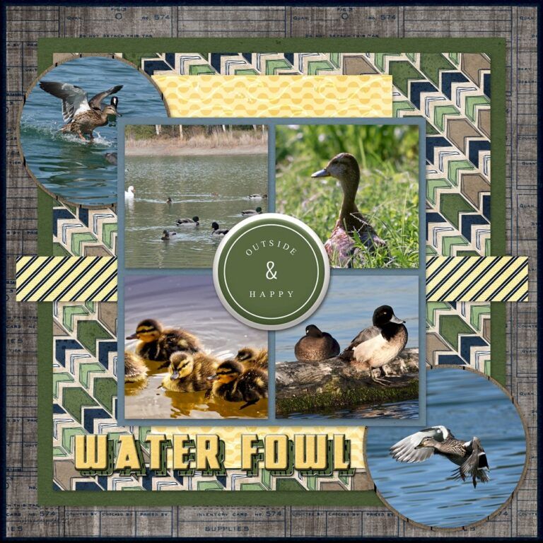 Water Fowl