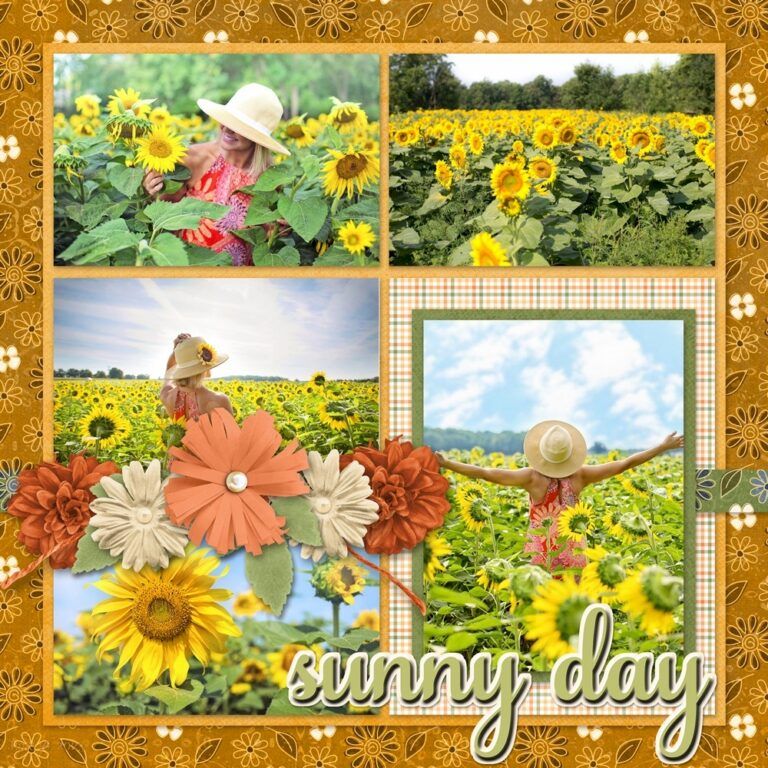 Sunny Day