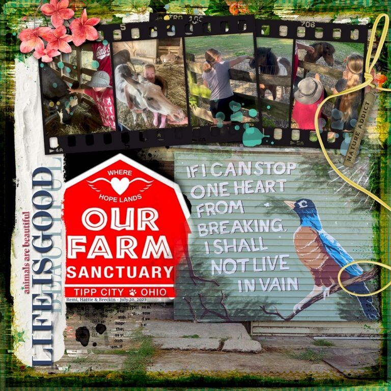 Farm Sanctuary