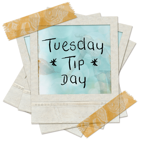 Tuesday Tip Day