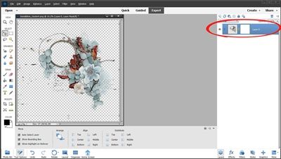 Layer Mask Applied