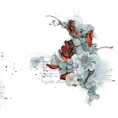 Frame Removed