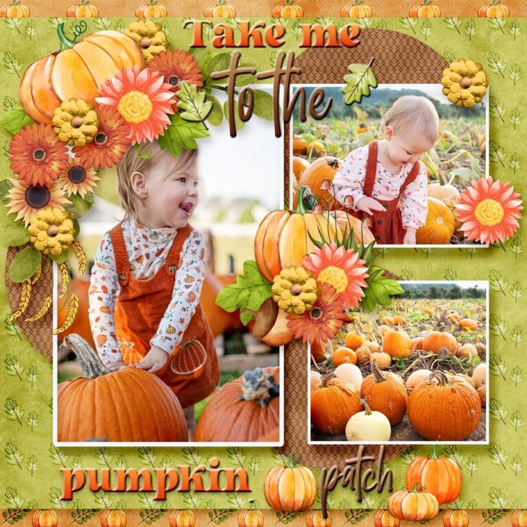 The Pumpkin Patch