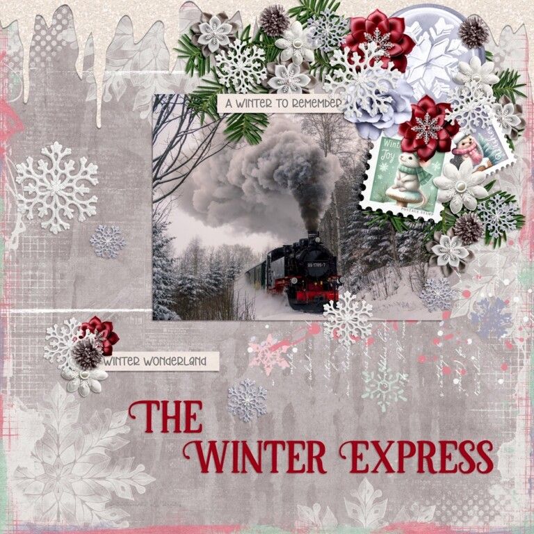 The Winter Express