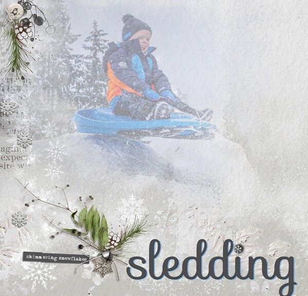 Sledding