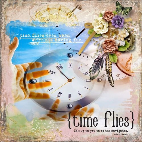 Time Flies - Navigator
