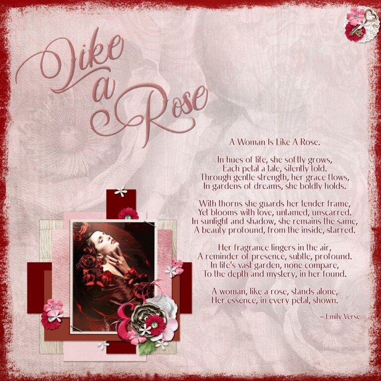 Like A Rose