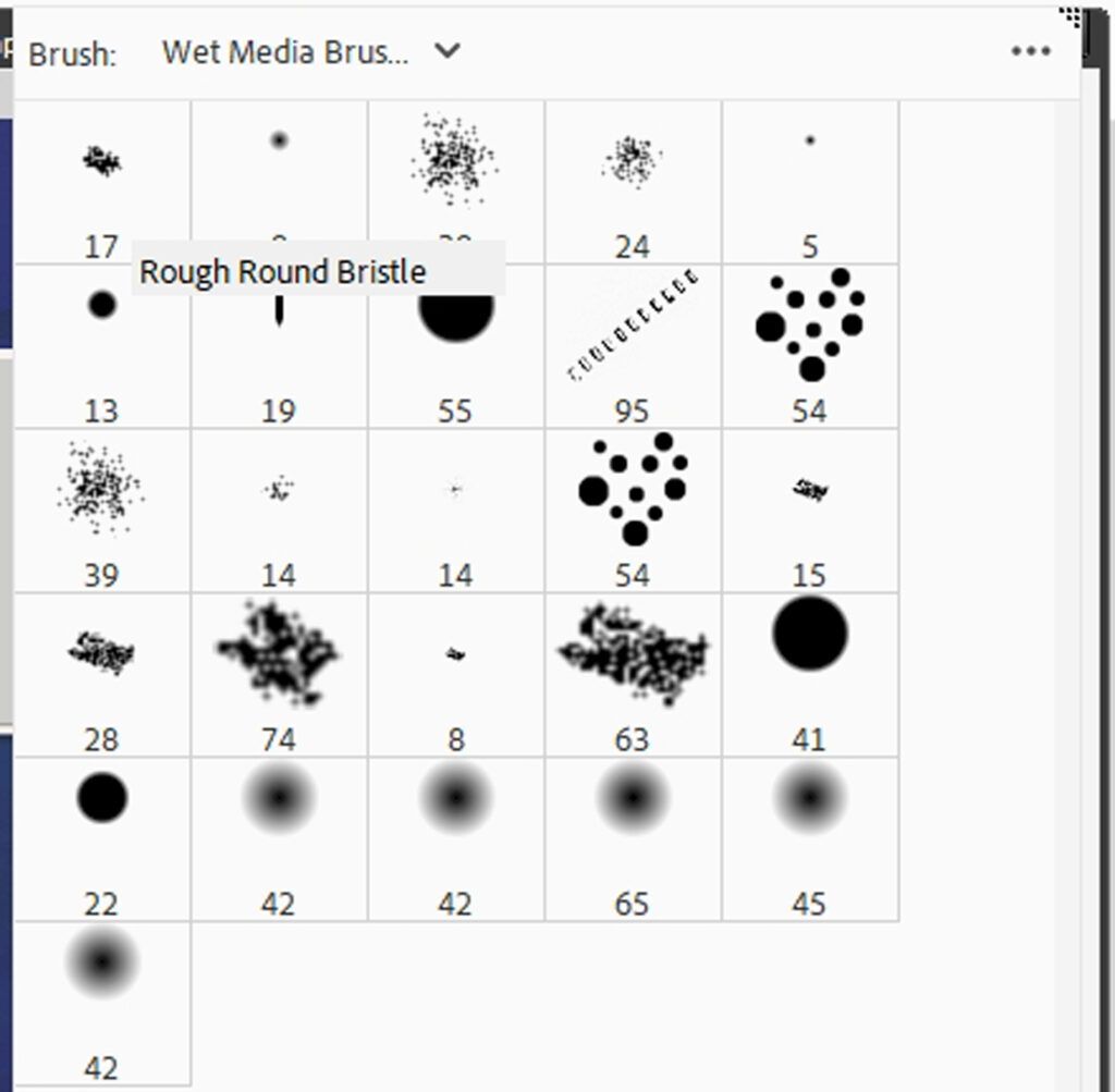 Rough Bristle Brush