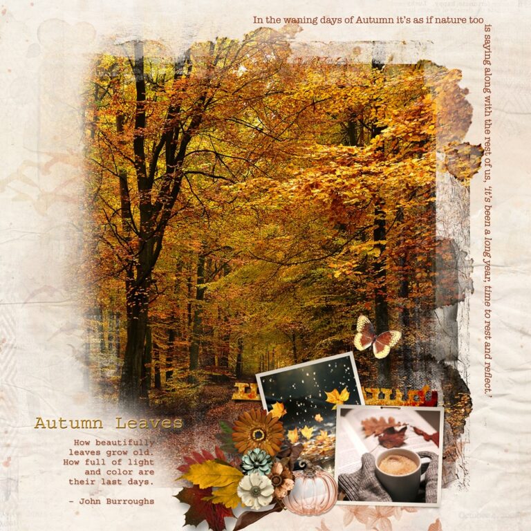 Autumn Leaves