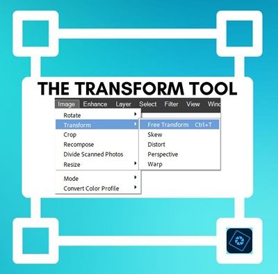 Transform Tool