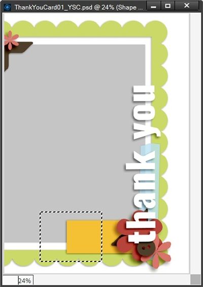 Transform Options - Selection