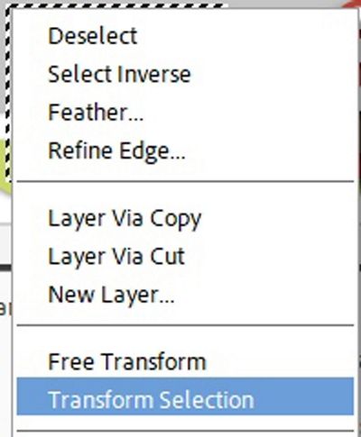 Transform Selection Tool