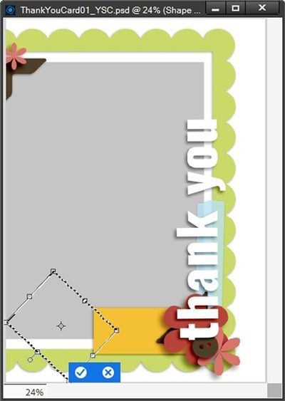 Transform Options - Selection #5