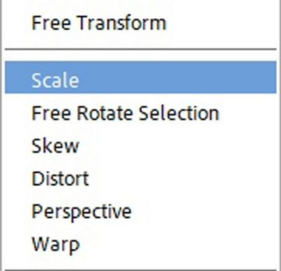 Options Inside Selection