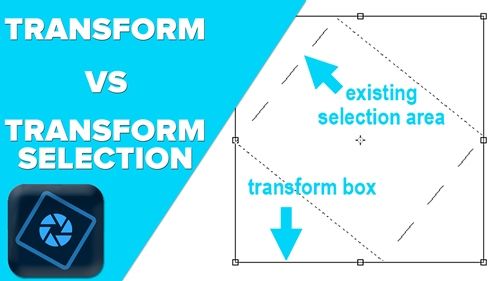Transform Options