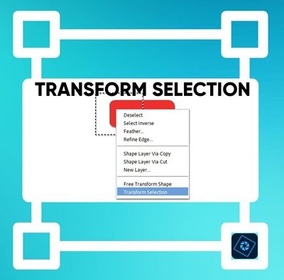 Transform Selection
