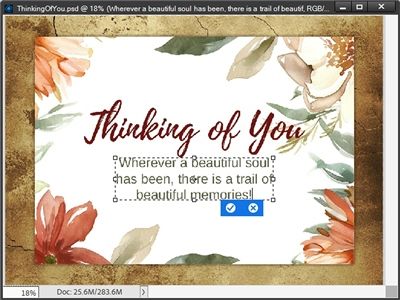 Text Box Resized