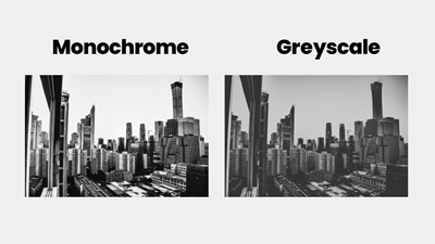 Monochrome vs. Greyscale