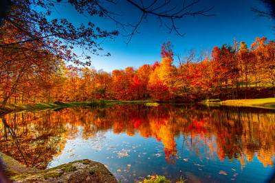 Autumn Lake